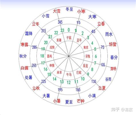 巳未|十二地支解析：巳 巳与其他十二地支的关系